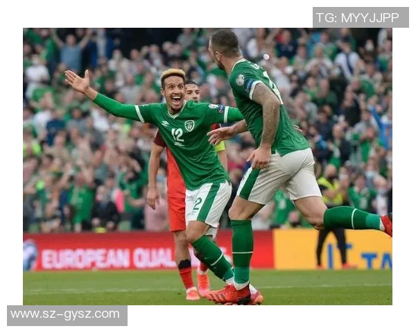 法国与爱尔兰欧洲杯激战在即谁能笑到最后争夺荣耀