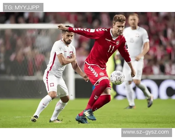 2020欧洲杯丹麦队表现回顾与未来展望分析